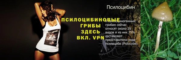 кокс Каменка
