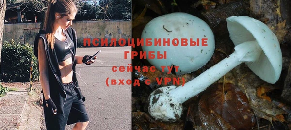герыч Каменск-Шахтинский