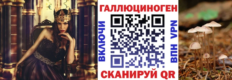 Галлюциногенные грибы мицелий  Купить  Удомля 