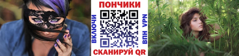 Купить  Удомля  Шишки марихуана гибрид 